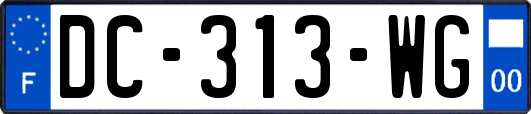 DC-313-WG