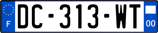 DC-313-WT
