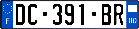 DC-391-BR