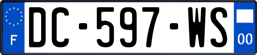 DC-597-WS