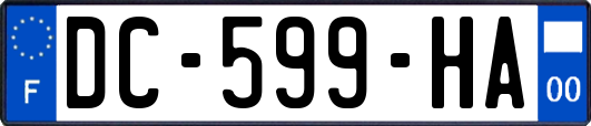 DC-599-HA