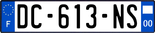 DC-613-NS