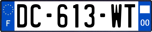 DC-613-WT