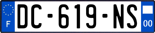 DC-619-NS