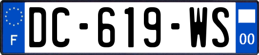 DC-619-WS