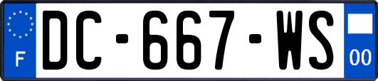 DC-667-WS