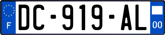 DC-919-AL