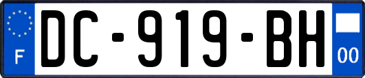 DC-919-BH
