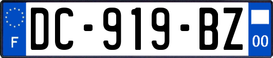 DC-919-BZ