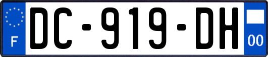 DC-919-DH