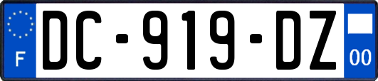 DC-919-DZ