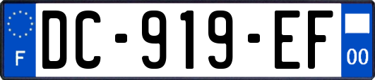 DC-919-EF