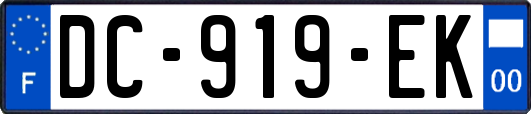 DC-919-EK