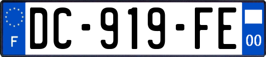 DC-919-FE
