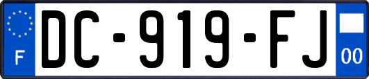 DC-919-FJ