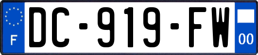DC-919-FW