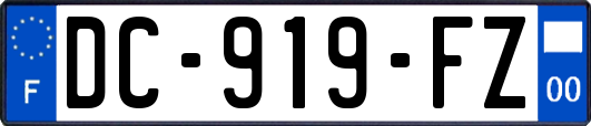 DC-919-FZ