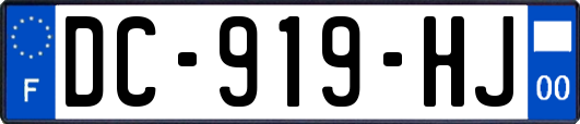DC-919-HJ