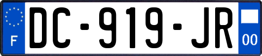 DC-919-JR