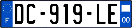 DC-919-LE