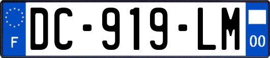 DC-919-LM