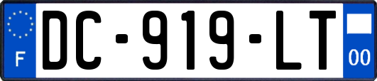 DC-919-LT