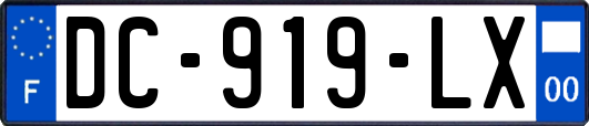 DC-919-LX