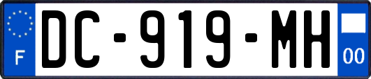 DC-919-MH