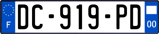 DC-919-PD