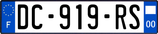 DC-919-RS