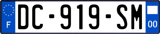 DC-919-SM