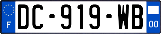 DC-919-WB
