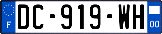 DC-919-WH