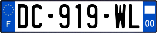 DC-919-WL