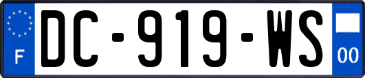 DC-919-WS