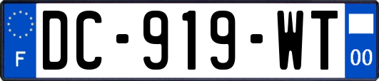 DC-919-WT
