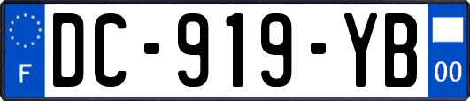 DC-919-YB