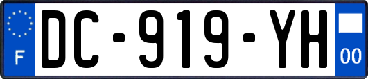 DC-919-YH
