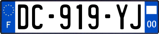 DC-919-YJ