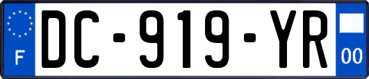 DC-919-YR