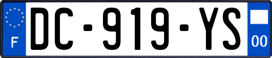 DC-919-YS