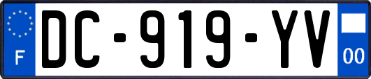 DC-919-YV