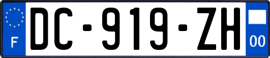 DC-919-ZH