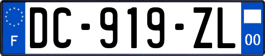 DC-919-ZL