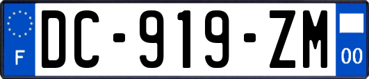 DC-919-ZM