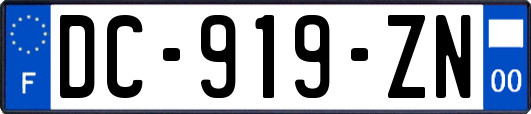 DC-919-ZN