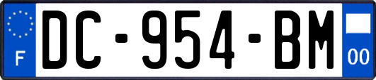 DC-954-BM