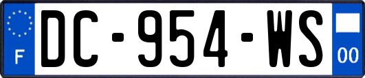 DC-954-WS