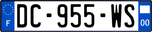 DC-955-WS