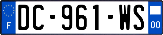 DC-961-WS